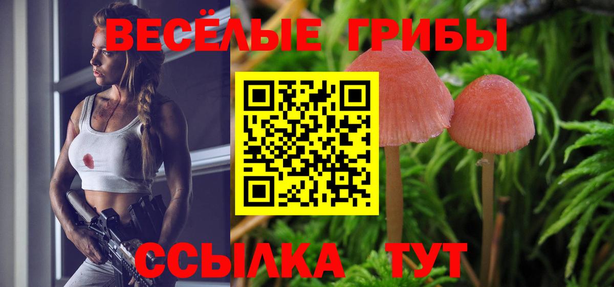 Пятигорск  Галлюциногенные грибы ЛСД  Вход с VPN 